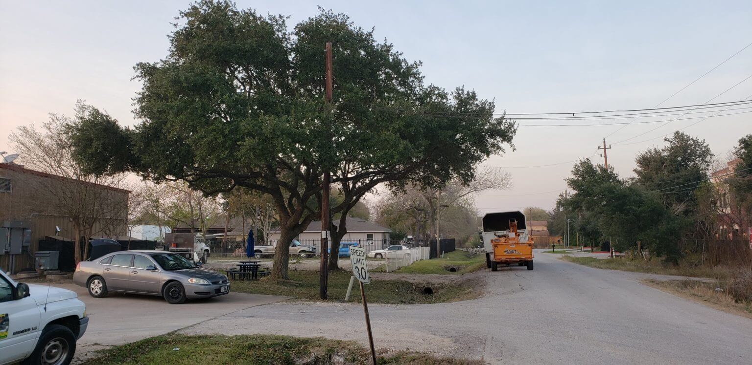 Tree Removal Company