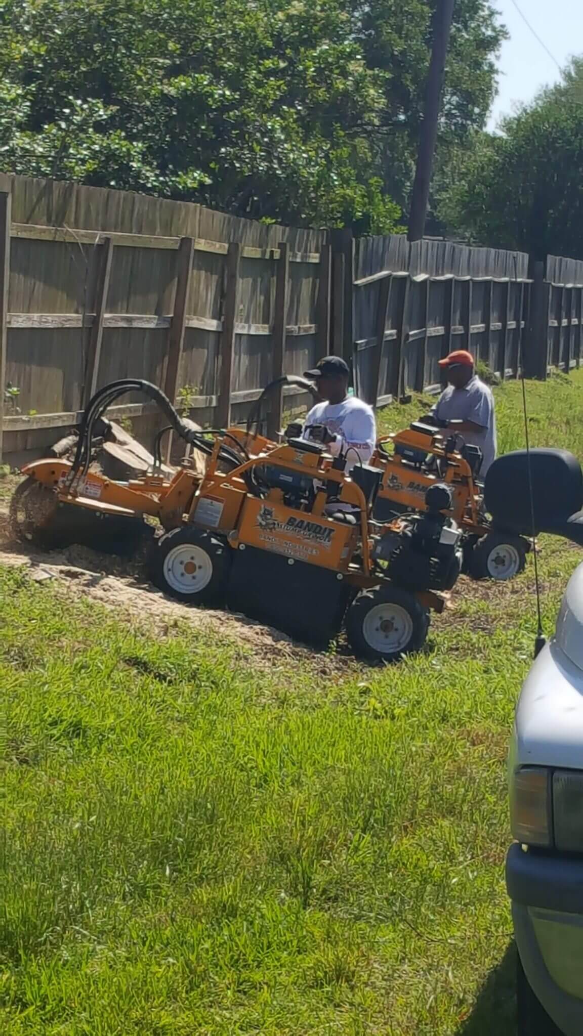 Tree Removal Company