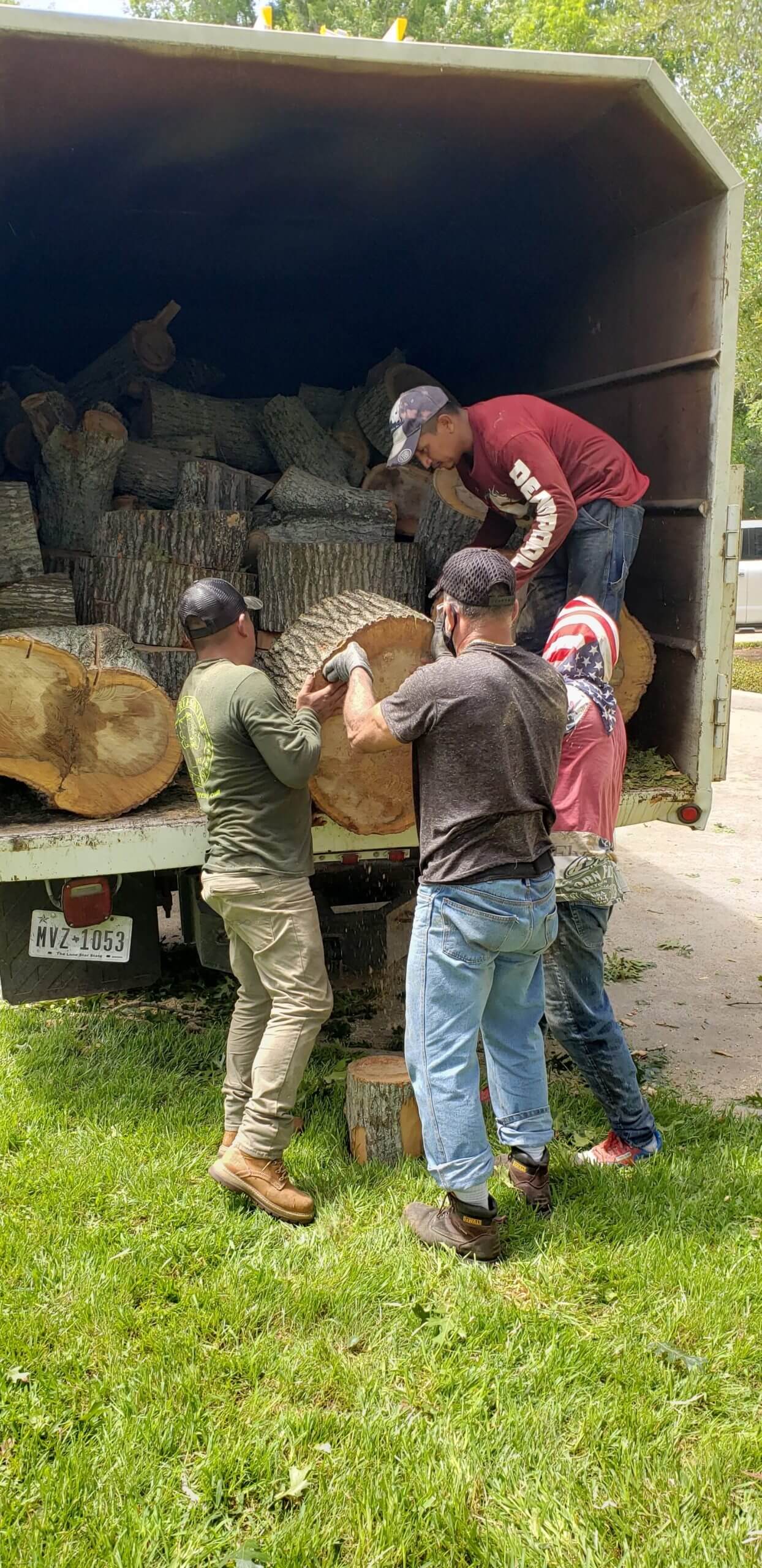 Tree Removal Services
