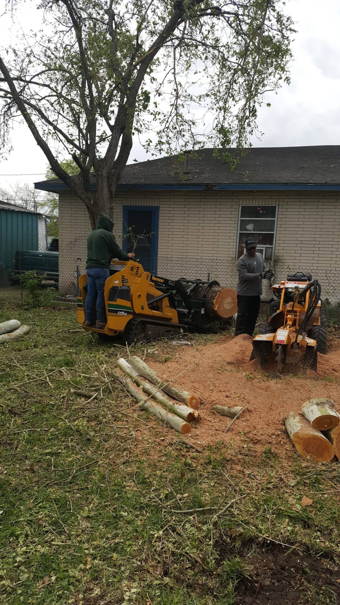 Tree Removal Company