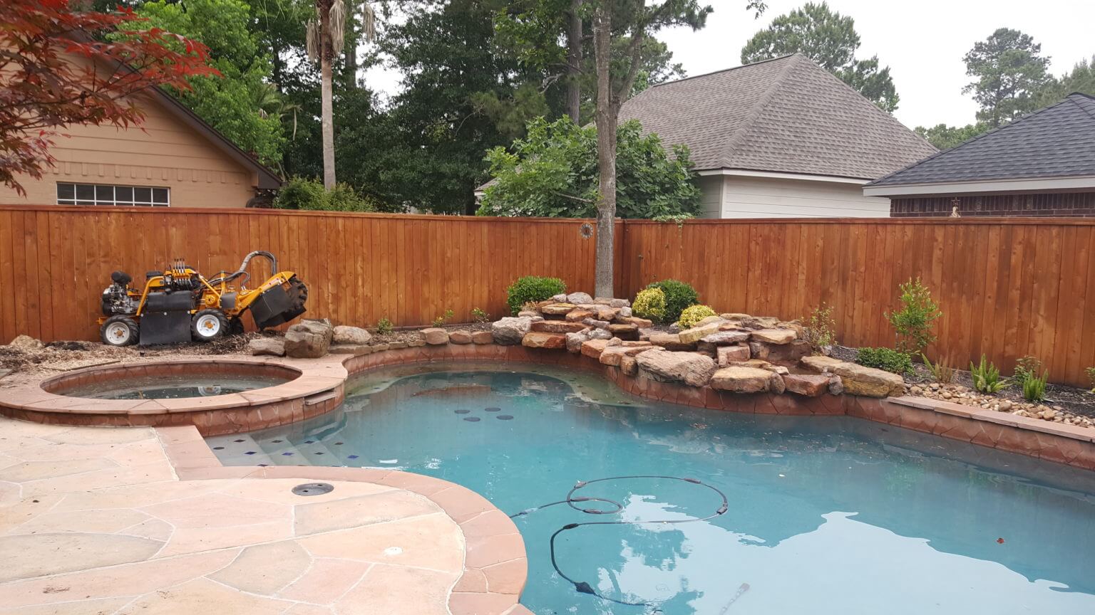 Tree Services