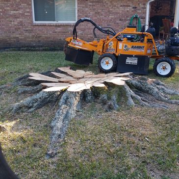 Tree Removal