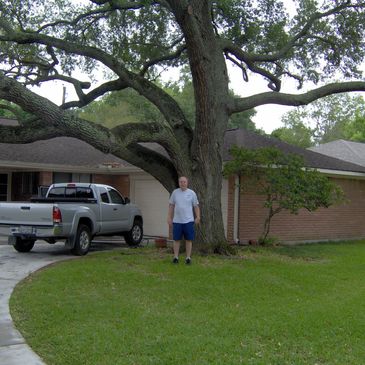 Tree Removal